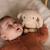 Peluche lumineuse lou Beige 4 - vertbaudet enfant 