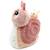 Peluche speedou l'escargot maman et bébé Rose, noir, blanc+Taupe, noir, blanc 4 - vertbaudet enfant 