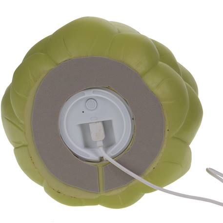Veilleuse artichaut (20 cm) Vert, noir 3 - vertbaudet enfant 