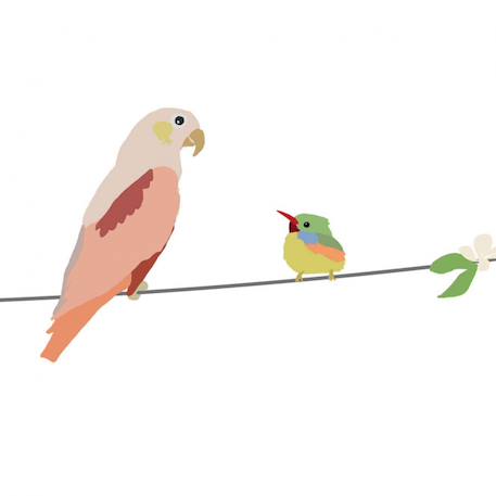 Frise adhésive with the birds (5 m) Vert, rose, bleu 2 - vertbaudet enfant 