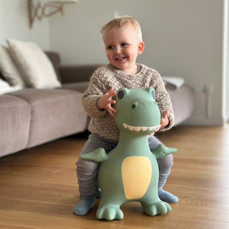 Ballon sauteur Gris antracite+Vert sauge 6 - vertbaudet enfant 