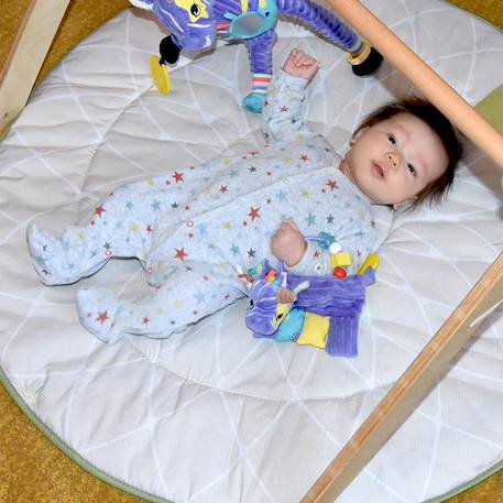 Hochet d'activités kiprokos le zèbre Violet 3 - vertbaudet enfant 