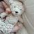 Peluche bruit blanc Beige+Beige, noir+Marron 11 - vertbaudet enfant 