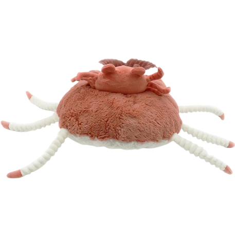 Peluche cassecou le crabe et son bébé terracotta (39 cm) Orange, blanc, noir 4 - vertbaudet enfant 