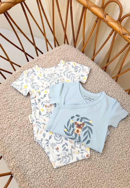 Lot de 2 bodies bébé manches courtes ouverture croisée zeste d'amour Bleu 1 - vertbaudet enfant 