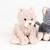 Duo peluches chats romy 20 cm Beige 3 - vertbaudet enfant 