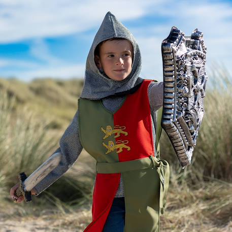 Accessoires déguisement enfant – glaive et bouclier de chevalier Gris 3 - vertbaudet enfant 