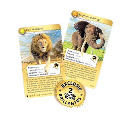 Jeu de cartes - le tournoi  -  fabriqué en france MULTICOLORE 2 - vertbaudet enfant 