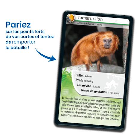 Jeu de cartes - défis nature -  singes & primates -  fabriqué en france MULTICOLORE 3 - vertbaudet enfant 