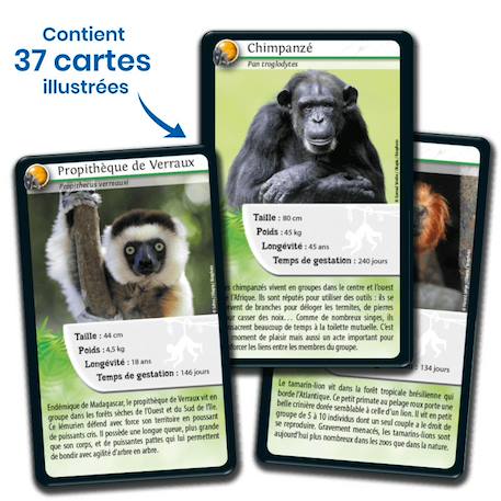 Jeu de cartes - défis nature -  singes & primates -  fabriqué en france MULTICOLORE 4 - vertbaudet enfant 