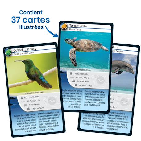 Jeu de cartes - défis nature -  saint barthélémy -  fabriqué en france MULTICOLORE 4 - vertbaudet enfant 