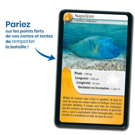 Jeu de cartes - défis nature -  nouvelle calédonie 1 -  fabriqué en france MULTICOLORE 3 - vertbaudet enfant 