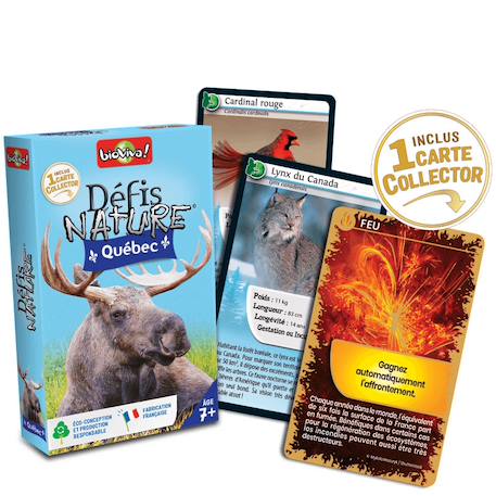 Jeu de cartes - défis nature -  québec -  fabriqué en france MULTICOLORE 2 - vertbaudet enfant 