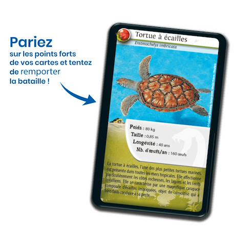 Jeu de cartes - défis nature -  reptiles -  fabriqué en france MULTICOLORE 3 - vertbaudet enfant 
