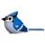 Puzzle 3d - geai bleu Blue 1 - vertbaudet enfant 