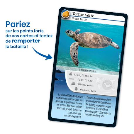 Jeu de cartes - défis nature -  saint barthélémy -  fabriqué en france MULTICOLORE 3 - vertbaudet enfant 