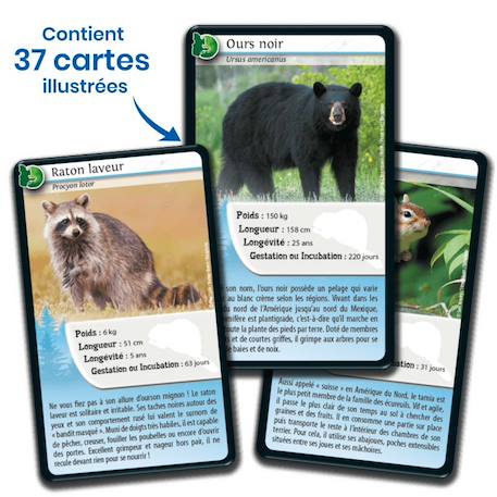 Jeu de cartes - défis nature -  québec -  fabriqué en france MULTICOLORE 4 - vertbaudet enfant 