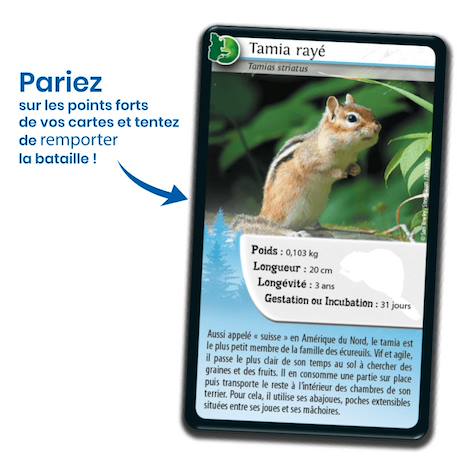 Jeu de cartes - défis nature -  québec -  fabriqué en france MULTICOLORE 3 - vertbaudet enfant 