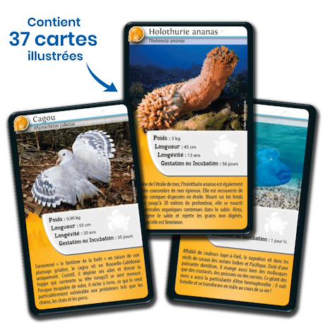 Jeu de cartes - défis nature -  nouvelle calédonie 1 -  fabriqué en france MULTICOLORE 4 - vertbaudet enfant 