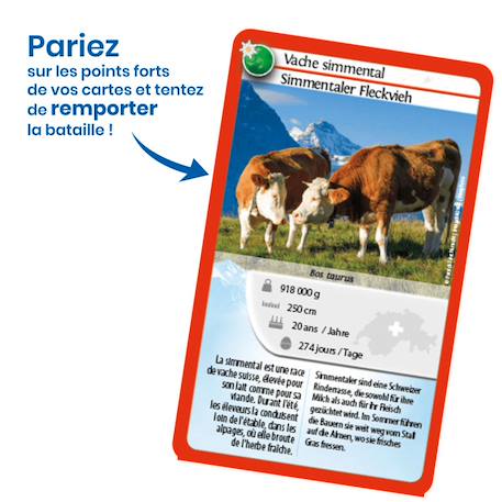 Jeu de cartes - défis nature -  suisse -  fabriqué en france MULTICOLORE 3 - vertbaudet enfant 