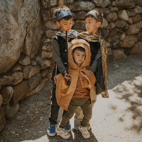 Déguisement cape petit lion Lion, marron 6 - vertbaudet enfant 