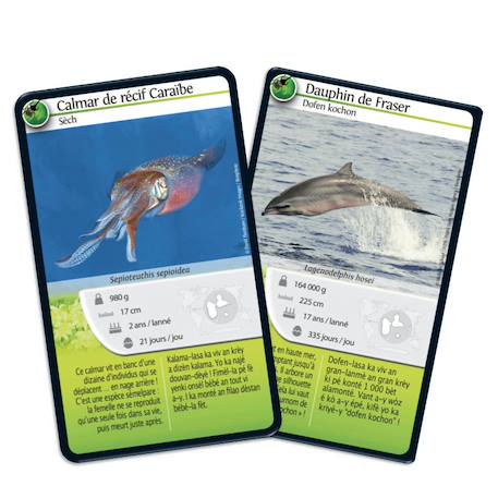 Jeu de cartes - défis nature -  guadeloupe -  fabriqué en france MULTICOLORE 3 - vertbaudet enfant 