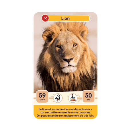 Jeu de cartes - défis nature junior -  rois de la savane -  fabriqué en france MULTICOLORE 5 - vertbaudet enfant 