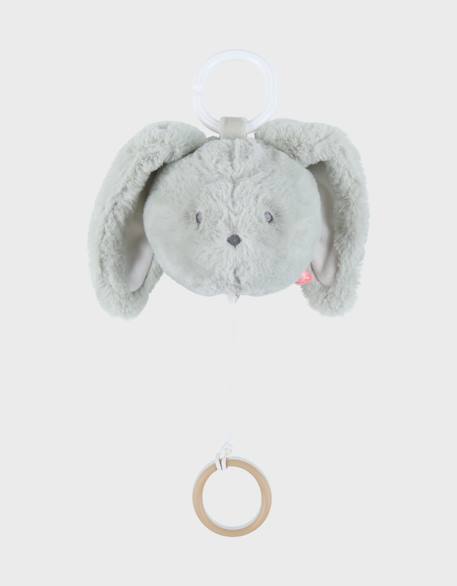 Peluche tête mini-musicale 20cm - verdi Vert 1 - vertbaudet enfant 