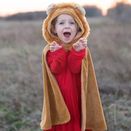 Déguisement cape petit lion Lion, marron 3 - vertbaudet enfant 