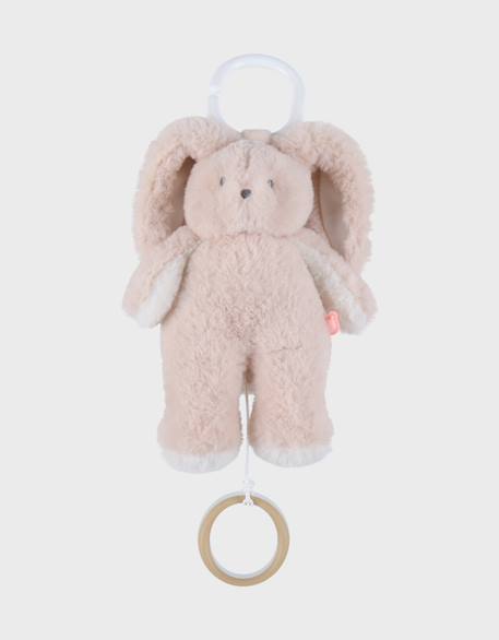 Peluche mini-musicale 20cm - rosie Rose 1 - vertbaudet enfant 
