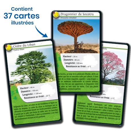 Jeu de cartes - défis nature -  arbres -  fabriqué en france MULTICOLORE 4 - vertbaudet enfant 