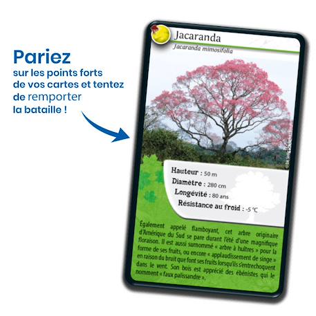 Jeu de cartes - défis nature -  arbres -  fabriqué en france MULTICOLORE 3 - vertbaudet enfant 