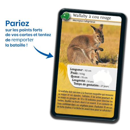 Jeu de cartes - défis nature -  océanie  -  fabriqué en france MULTICOLORE 3 - vertbaudet enfant 