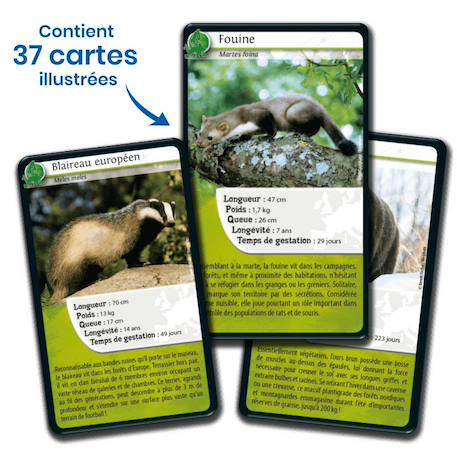 Jeu de cartes - défis nature -  europe -  fabriqué en france MULTICOLORE 4 - vertbaudet enfant 