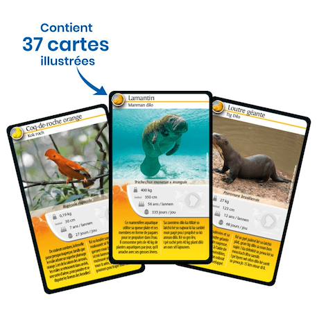 Jeu de cartes - défis nature -  guyane -  fabriqué en france MULTICOLORE 4 - vertbaudet enfant 