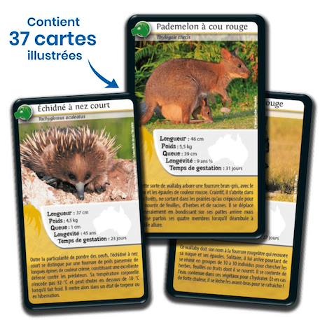 Jeu de cartes - défis nature -  océanie  -  fabriqué en france MULTICOLORE 4 - vertbaudet enfant 
