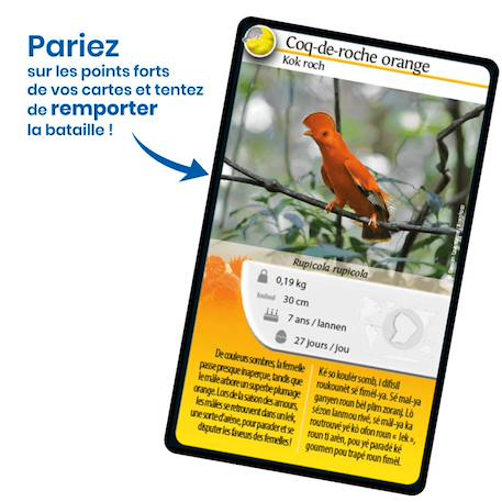 Jeu de cartes - défis nature -  guyane -  fabriqué en france MULTICOLORE 3 - vertbaudet enfant 