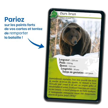 Jeu de cartes - défis nature -  europe -  fabriqué en france MULTICOLORE 3 - vertbaudet enfant 