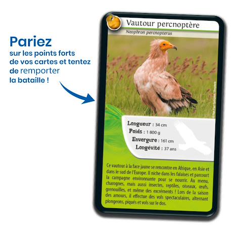 Jeu de cartes - défis nature -  rapaces -  fabriqué en france MULTICOLORE 3 - vertbaudet enfant 