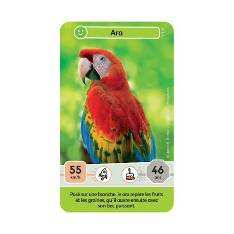Jeu de cartes - défis nature junior -  mystères de la jungle -  fabriqué en france MULTICOLORE 5 - vertbaudet enfant 