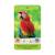 Jeu de cartes - défis nature junior -  mystères de la jungle -  fabriqué en france MULTICOLORE 5 - vertbaudet enfant 