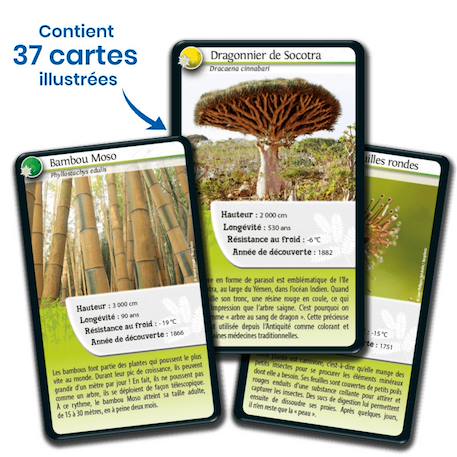 Jeu de cartes - défis nature -  super pouvoirs des plantes -  fabriqué en france MULTICOLORE 4 - vertbaudet enfant 
