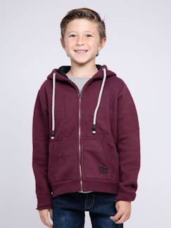 -Sweat zippé capuche wamin garçon