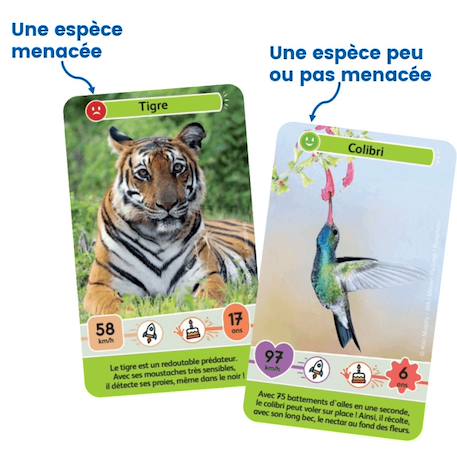 Jeu de cartes - défis nature junior -  mystères de la jungle -  fabriqué en france MULTICOLORE 6 - vertbaudet enfant 