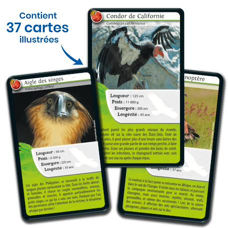 Jeu de cartes - défis nature -  rapaces -  fabriqué en france MULTICOLORE 4 - vertbaudet enfant 