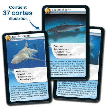 Jeu de cartes - défis nature -  requins -  fabriqué en france MULTICOLORE 4 - vertbaudet enfant 