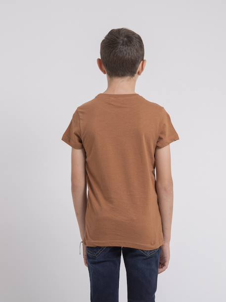 T-shirt col rond pur coton joultix garçon Antra+Bleu marine+Cognac 10 - vertbaudet enfant 