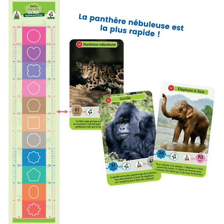 Jeu de cartes - défis nature junior -  mystères de la jungle -  fabriqué en france MULTICOLORE 4 - vertbaudet enfant 