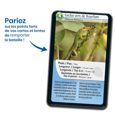 Jeu de cartes - défis nature -  réunion -  fabriqué en france MULTICOLORE 3 - vertbaudet enfant 