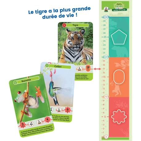 Jeu de cartes - défis nature junior -  mystères de la jungle -  fabriqué en france MULTICOLORE 3 - vertbaudet enfant 